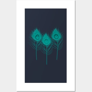 Aqua Peacock Feather Pattern Posters and Art